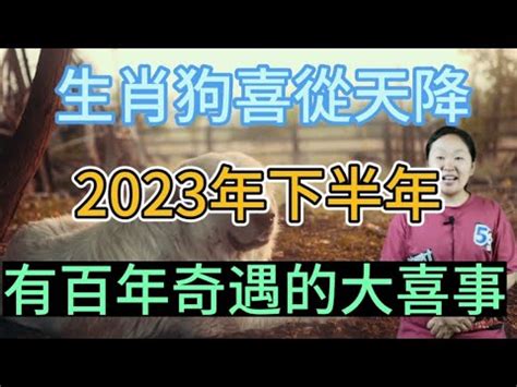 2023屬狗買房|【屬狗 方位】屬狗者必看！最強方位指南：買房、住樓層全攻略